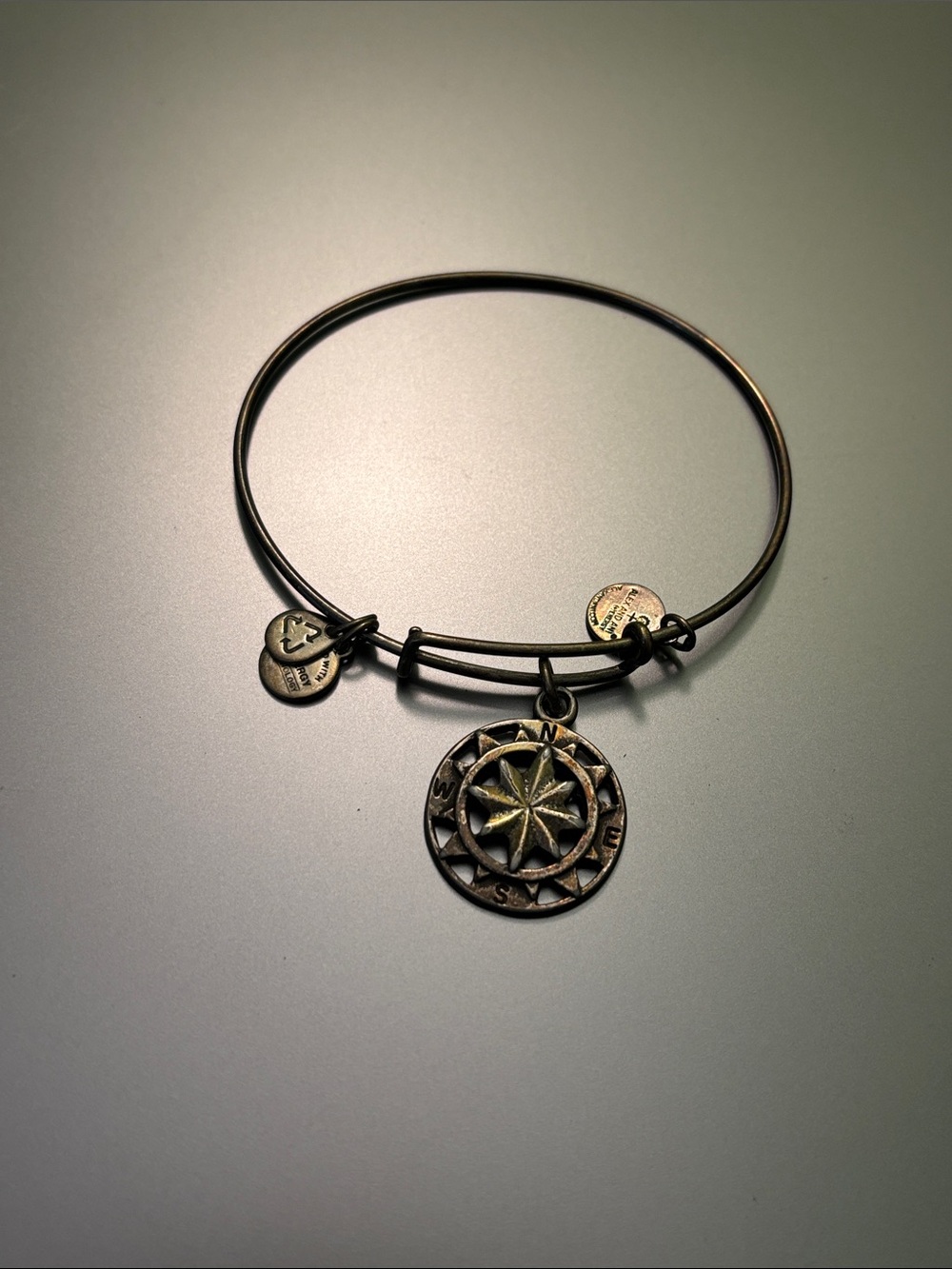 Alex and Ani Compass Charm Bangle